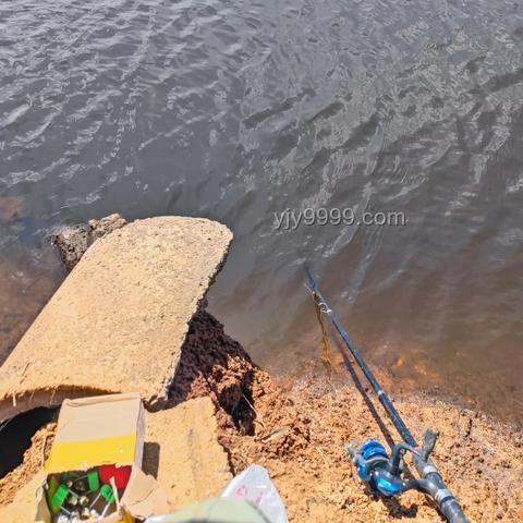 钓鱼佬新风尚：出水即入锅的餐饮革命